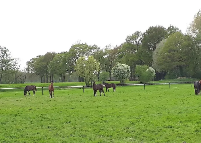 Vakantiewoning 't Haller Vorden