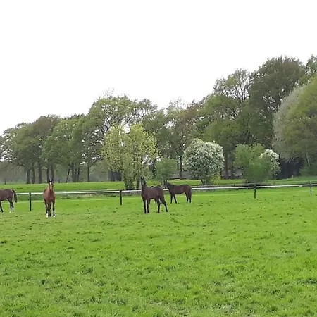 Vakantiewoning 't Haller Vorden